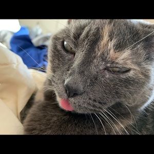 Meet your Posher, Meg